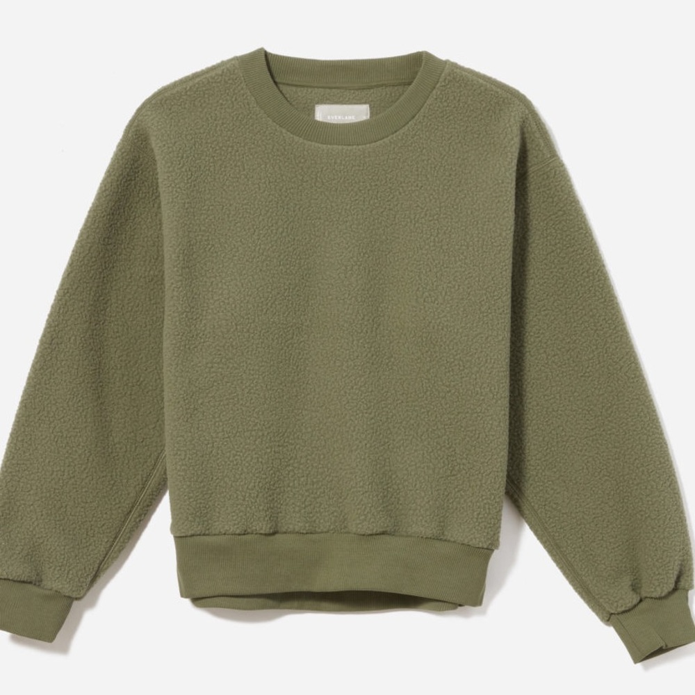 Everlane ReNew Fleece Sweatshirt in Surplus